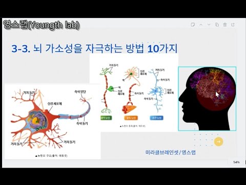 3-3. 뇌의 가소성을 자극하는 10가지 방법