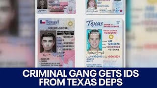 Criminal gang receives 3K Texas IDs from DPS in cyber fraud case, director says | FOX 7 Austin