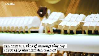 Yamaha Music Vietnam - Review Về Đàn Silent Piano Ju109