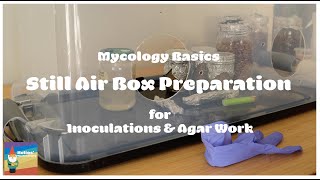 Mycology Basics: Still Air Box SAB Prep Steps Before Use