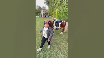 مفيش حصان علي مقاسك 