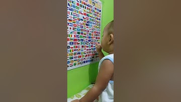 Flags of the world(1y/o👌🏻)☺️   #flags #flagsoftheworld #kids #kidsvideo #smart #smartbaby #toddler
