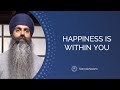 Happiness is within you  how to transform our human experience