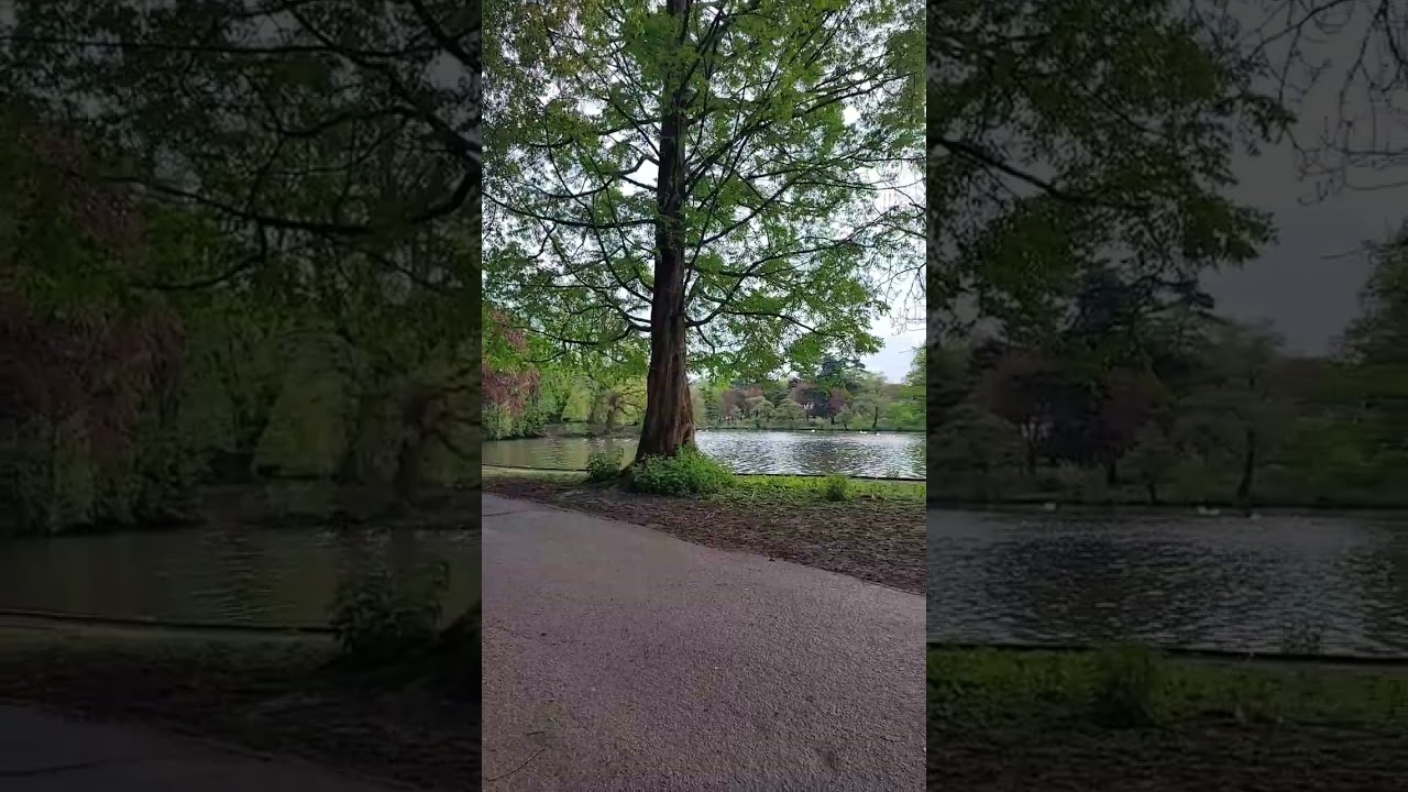 Roath Park, Cardiff, UK 