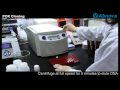 PCR Cloning