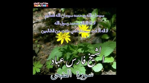سورة الضحى | الشيخ فارس عباد،،، استغفر الله العظيم واتوب اليه 🖤🖤😴🧡