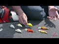 Yamaha pro fishing  talking bait with cliff pace