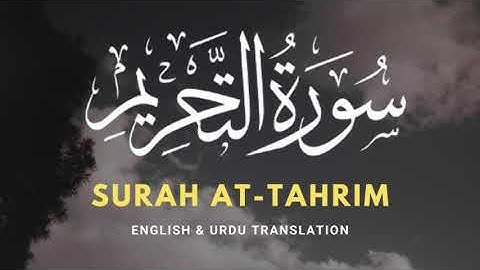 صوت جميل من القران الكريم رواية ورش عن نافع الشيخ عبد الحكيم