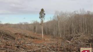 Homes for Sale - 108.61 ac Tomlin Mill Road, Statesville, NC