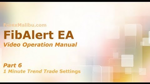 FibAlert Video Training Manual part 6 - 1m Trend Trade Settings
