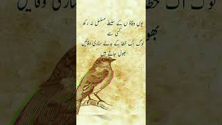 Alama Iqbal Khan Sahab #poetry #shorts #viral #urdupoetry