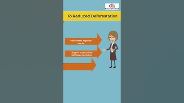 How to reduced Deforestation #2 || 2D Animations || Explainer video || by Vyond || #2danimation