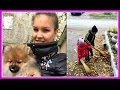 VLOG НЕ ЛЮБЛЮ ВЫХОДНЫЕ. РАДИМ И ЭЛИНА ГОТОВЯТ ПИРОГ