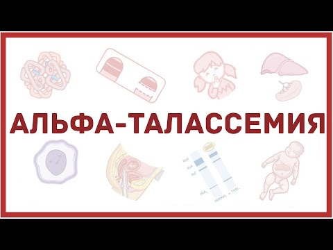 Видео: Разница между альфа- и бета-гемолизом