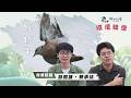 《2026環境映像｜野孩子》導演訪談：游和謙、蔡承廷(公視我們的島 第1359集 2026-05-25)