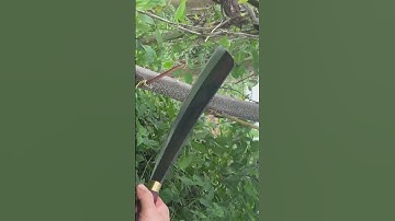 Con dao pan rang này sắc bén vô địch chặt cây như chặt chuối vậy thật hiếm có