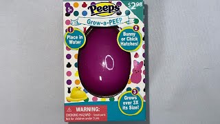 ASMR Peeps Grow-a-Peep 🥚🐰🐣