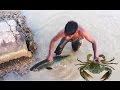 Net Fishing and Find Mud Crabs - Kadal Tv