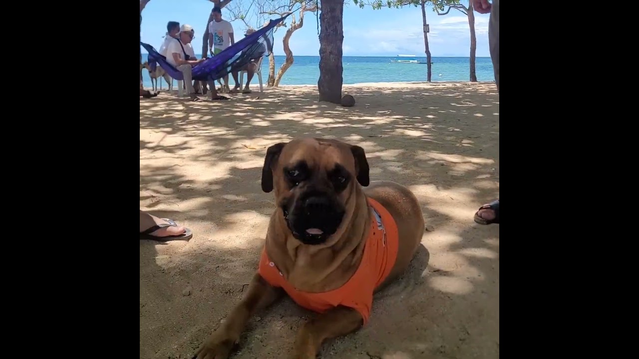 Company Bonding 2025 📌Tiquianos Resort 🌊