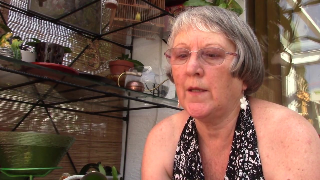 How to care for your orchids on the patio when it is 90 deg F and over