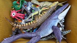 Hunting T-Rex, Distortus Rex, Spinosaurus, Megalodon, Mosasaurus And More Dinosaur Toy