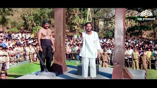 आ गए, दख आ गए सब मर मत क तमश दखन नन पटकर क जबरदसत मव- करतवर मव बसट सन