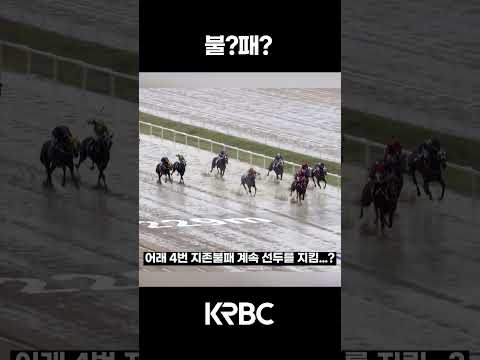 #shorts #경마방송 #기수 #<strong>경주마</strong> #경마 #KoreaHorseRacing