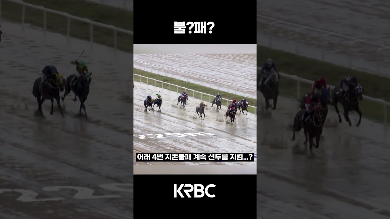 불?패? #shorts #경마방송 #기수 #경주마 #경마 #KoreaHorseRacing