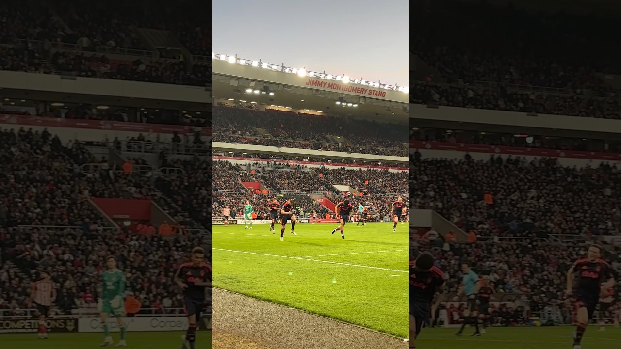 Chris Wood scores FIRST goal since returning from injury in HUGE Forest win π
