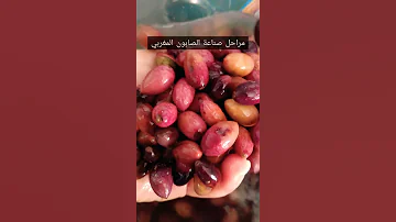 خطوات صناعة الصابون المغربي البلدي من سما بيوتي 