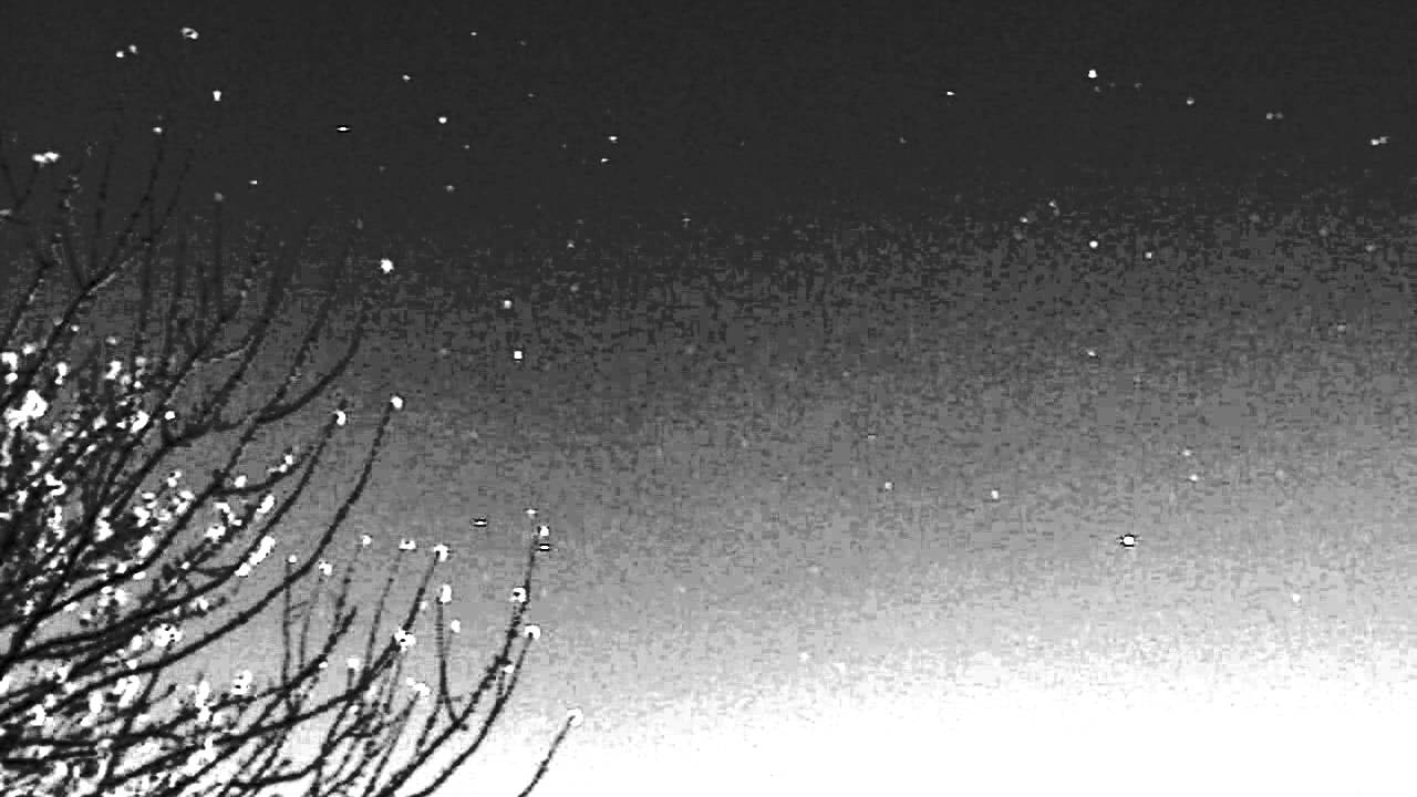 cam test during Meteor Shower YouTube