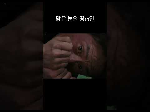 #옥상#숏폼드라마#숏드라마#웹드라마#보따리필름#맑눈광