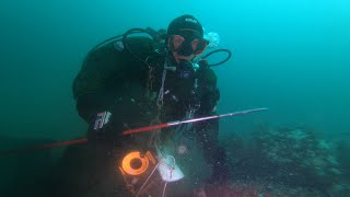 Spearfishing The Sea Girt Shipwreck Belmar New Jersey