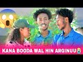 KANA BOODA DHOKSATTI MALEE IFATTI SI HIN ARGU