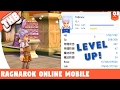 Ragnarok Online Mobile - Dicas para upar mais rápido