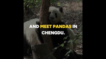 Roam in China with SIMBA [Eng]