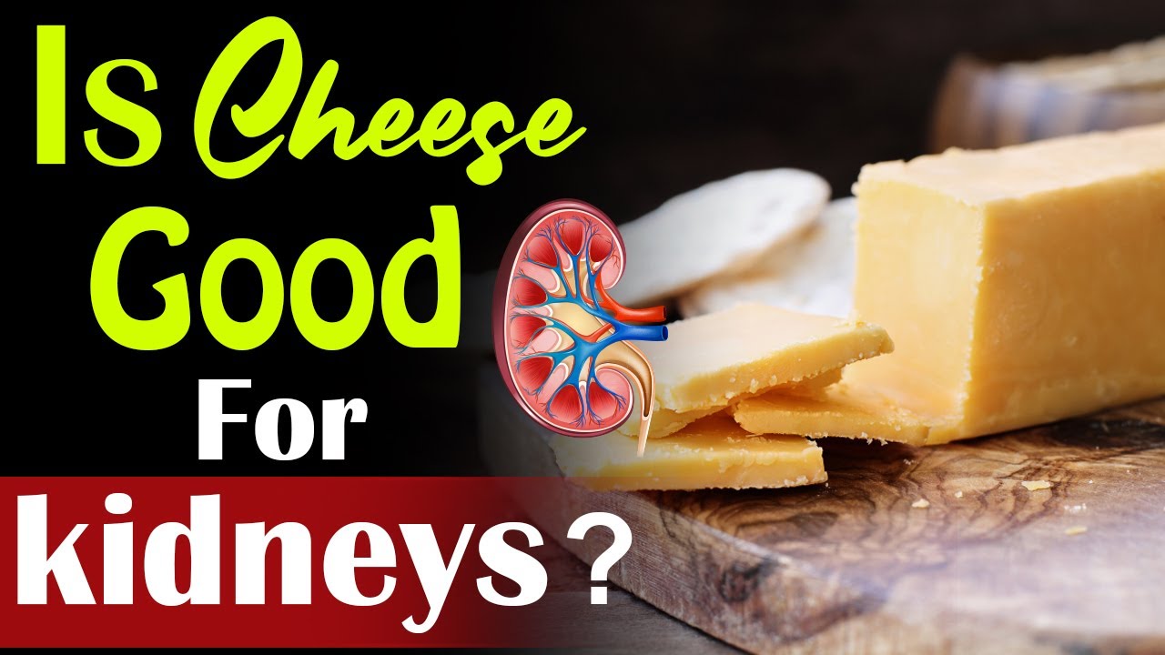 Is Cheese Good for Kidneys or Not? | Kidney Expert and Treatment (USA