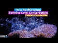 How the Reef keeping hobby benefits coral conservation - Reefapalooza Keri O'neil Florida Aquarium
