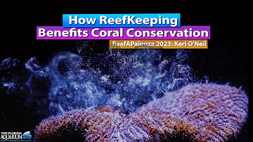 How the Reef keeping hobby benefits coral conservation - Reefapalooza Keri O'neil  Florida Aquarium