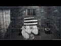 Schnoz goes to prison