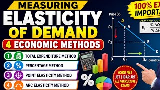 Demand Elasticity Measurement Methods Explained | Total Expenditure, Point &amp; Arc Elasticity