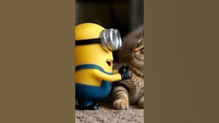 kitty is chatting with a friend 😺😺😺#kitty #viral #cute #subscribe #minions #minion #friend #chatting