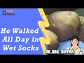 He Walked All Day in Wet Socks with Dr Nail Nipper [Premiere Friday] (2019)