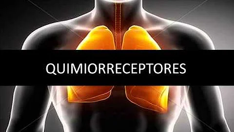 Como funcionam os quimiorreceptores?