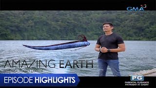 Amazing Earth: The myth of Oarfish