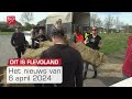 Dit is flevoland van zaterdag 6 april 2024  omroep flevoland