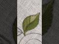 Beautiful leaf embroidery pattern #embroidery #diy #art #embroiderydesign