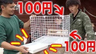 100均diy うさぎ小屋作りの天才現る Youtube