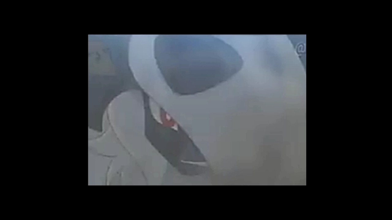 Absol Evolution || Pokemon journey😈😈👍👌 