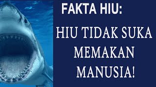FAKTA UNIK DUNIA: IKAN HIU GIGINYA TUMBUH HANYA 24 JAM || FAKTA HIU YANG BELUM BANYAK DIKETAHUI !